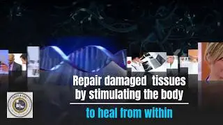 Regenerative Medicine of Naples
