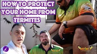 How To Protect Your Home From Termites | Real Advice | Peter Kafkas