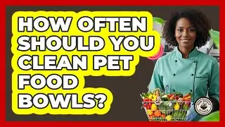 How Often Should You Clean Pet Food Bowls?