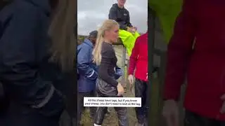 R&egrave;ttir, Sheep dividing event in Iceland ❤️🤗