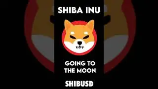 SHIBA INU TO THE MOON