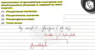 Interconversion of glyceraldehyde-3-phosphate and dihydroxyacetone ...