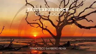 Tastexperience - Driftwood (Francesco Sambero Remix)