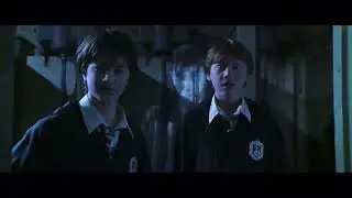 Harry Potter La Camera dei Segreti - Erano peli di gatto&hellip;