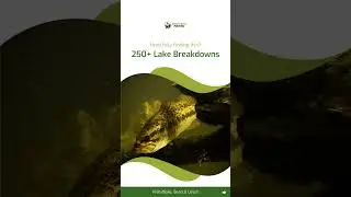 Simplistic Fishing Lake Breakdowns  #fishing #bassfishing
