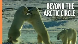 From Canada to Norway - Beyond the Arctic Circle | Full Documentary