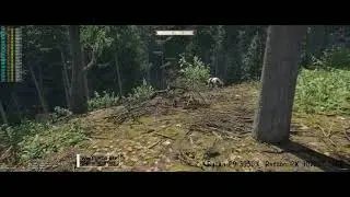 King Come Deliverance II: Experience graphics - Win 11 HDR ON/OFF