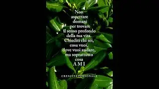 Fai e sei ci&ograve; che ami#therightpath #crescitapersonale #mentalcoaching #happiness #mentalcoach