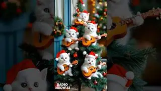 Funny Christmas Cats Singing Jingle Bells