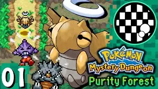 Purity Forest: Failed Attempts | PART 1