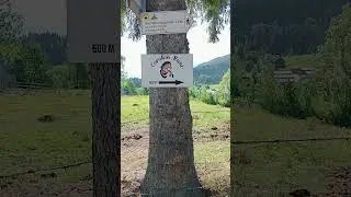 Traseu Vf Pietrosu 2303m - 4 h - Dunga albastră 