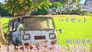 可愛すぎる！植木鉢な巨泉ハイゼット 草ヒロ 岡山県