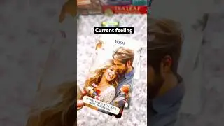Extra marital affair tarot reading/Current feelings/#shortvideo #tarot #currentfeelibgs #love
