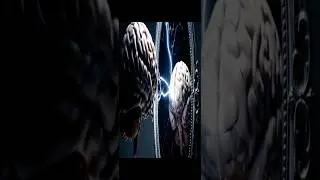 CORTEX CINEMA JUST WATCH AND COMMENT