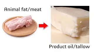 Small animal fat beef tallow oil processing rendering line