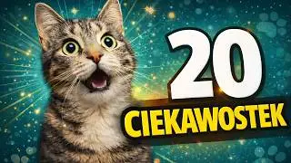 20 FAKTÓW o KOTACH