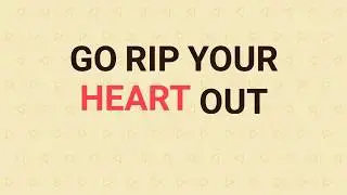 The Academic - Bear Claws (Lyric Video)