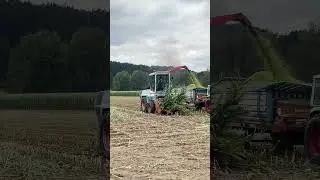 Mengele SF 2000 #shorts #farming #landwirtschaft #mais #oldtimer #maish&auml;ckseln #deutzfahr