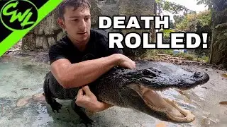 DEATH ROLLED BY ALLIGATOR!!!