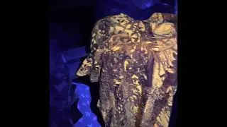UV Light Test on Blaze Camo