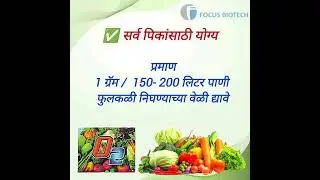 फुलकळी वाढ आणि दर्जेदार फळधारणेसाठी वापरा &ndash; O2 | Focus Biotech | O2 फायदे | फुलगळ थांबवा  #allcrops