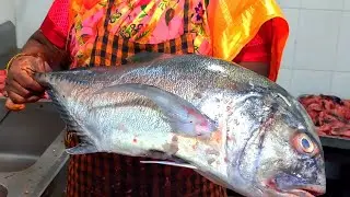 Coconut fishcutting by Viji akka | cutting skill | woman cutting skill | #fish #fishcuttingskills