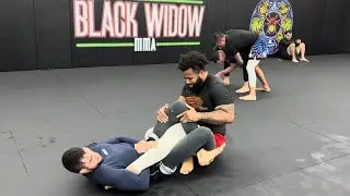 Being a Blue Belt is Terrible | Rolling With Oliver Taza |￼Jiujitsu Training Footage | 