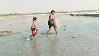 Amazing Big Fish Hunting |Real BigFishing |Best Polo Fishing. 