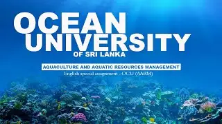 Ocean university of Sri Lanka AARM ( S.E. ASSIGMENT )