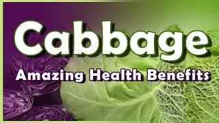 Cabbage Health Benefits - Best Health Benefits of Cabbage - Cabbage Leaves Uses on Your Body