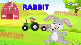 Uncover the Surprising Facts About Animals with JoHens Education TV!