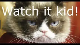 BEST GRUMPY CAT MEMES 2019! (must watch)