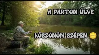 A parton &uuml;lve!