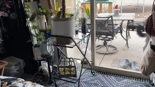 Black cart that I used for plants! Amazon Review