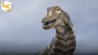 Australia's Largest Dinosaur Discovered in Outback