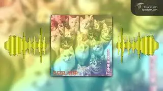 Танец кота - (Original Song) - [Free Songs By Musical Star - Release]