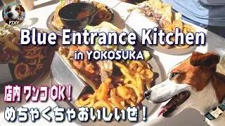 【沖縄発祥 タコス】Blue Entrance Kitchen横須賀店 店内🐶OK！タコスの概念が変わるよ(笑)#タコス#横須賀#NOTHING BUT SUGAR#シナモンロール