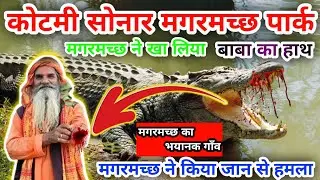 Kotmi Sonar Crocodile Park 2024 🐊 मगरमच्छ ने किया जान से हमला 😱 कोटमी सोनार #2024