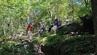 New Phoenicia East Branch Trail, Catskill, 2014-09-07