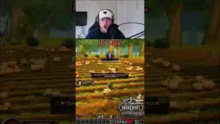When your hardcore duo dies because of Princess. #hardcorewow #wowclassic  #mmorpg #classichc