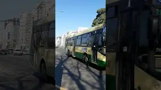 Linea 130 int. 7432 (TB Pompeya III)