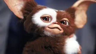 Molly &times; WB 100th Anniversary Gremlins #arttoys #popmart #unboxing #blindbox #kennyswork  #gremlins