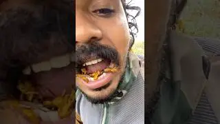 BORN SURVIVOR | EAT WASP IN FOREST #survival #outdoors #camping #bushcraft