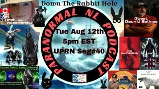 Paranormal NL :  Down the Rabbit Hole with Dayvid Salinas