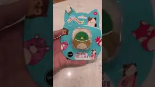 Fidget toys pls haul! #fidgettoy
