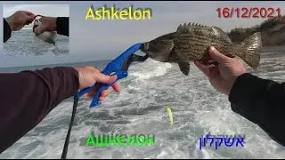 4K חוף זיקים פארק אשקלון דיג рыбалка Ашкелон לוקוס סרגוס לברק fishing  16/12/2021 sargo grouper