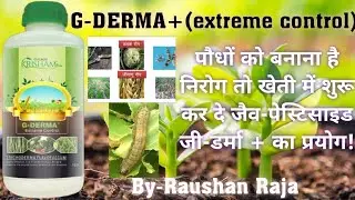 G-DARMA+(जी डर्मा+)जड़ों ,पत्तियों,तनो और कीटों के रोगों लिए बेहतरीन जैव किटनाशक#glaze#galwaykrisham
