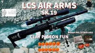 LCS Air Arms SK19 in 5.5mm   heavy  pellet&slugs