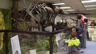 Earth Experience Middle Tennessee's Museum of Natural History