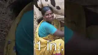 The Shocking Truth About Indias Agriculture and Language Divide